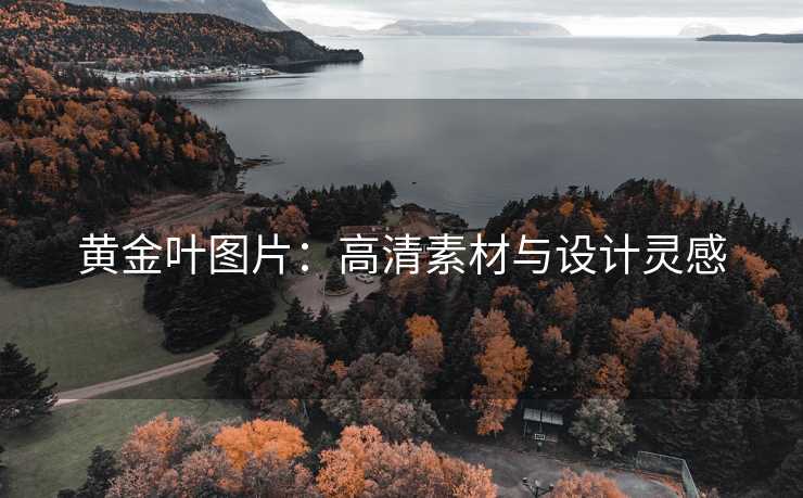 黄金叶图片：高清素材与设计灵感