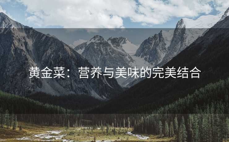 黄金菜：营养与美味的完美结合