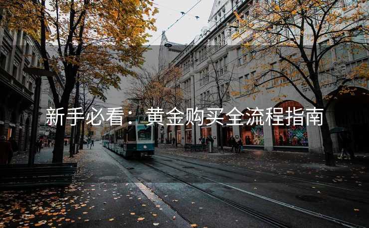 新手必看：黄金购买全流程指南