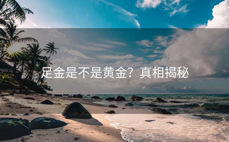 足金是不是黄金？真相揭秘
