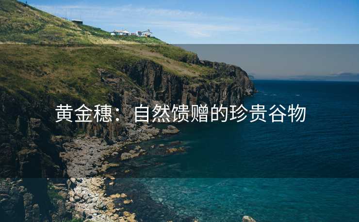黄金穗：自然馈赠的珍贵谷物
