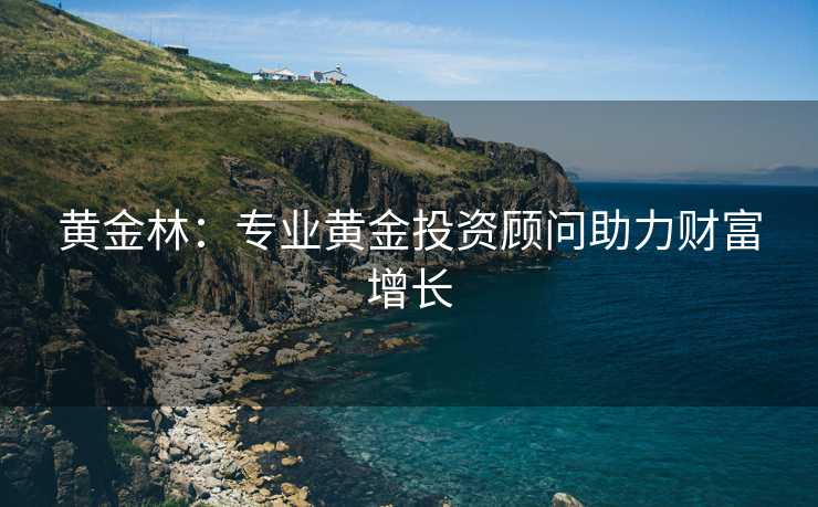 黄金林：专业黄金投资顾问助力财富增长