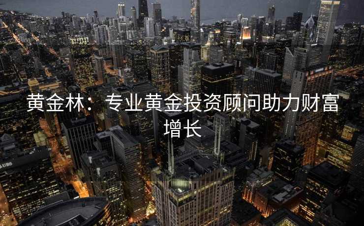 黄金林：专业黄金投资顾问助力财富增长