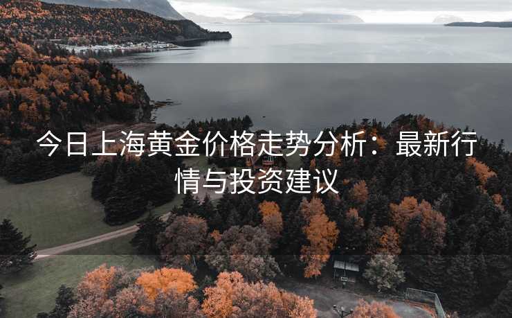 今日上海黄金价格走势分析：最新行情与投资建议